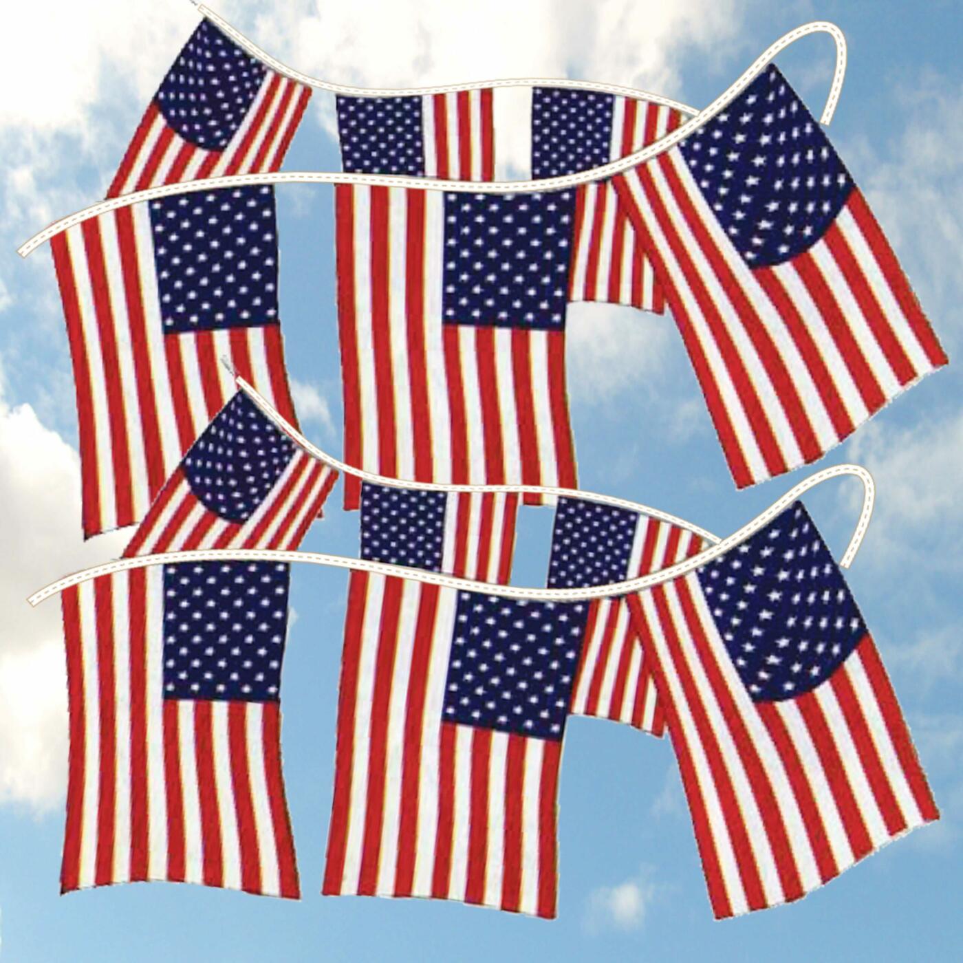 American Flag Pennants - Image 3