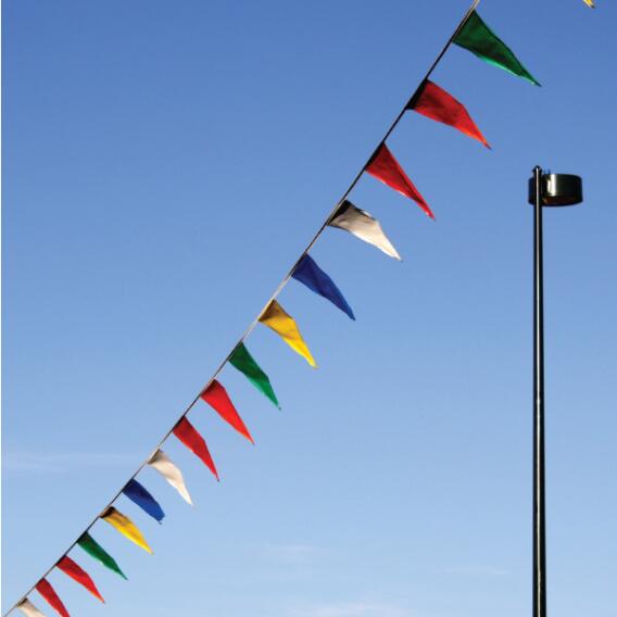 Polyethylene Pennants