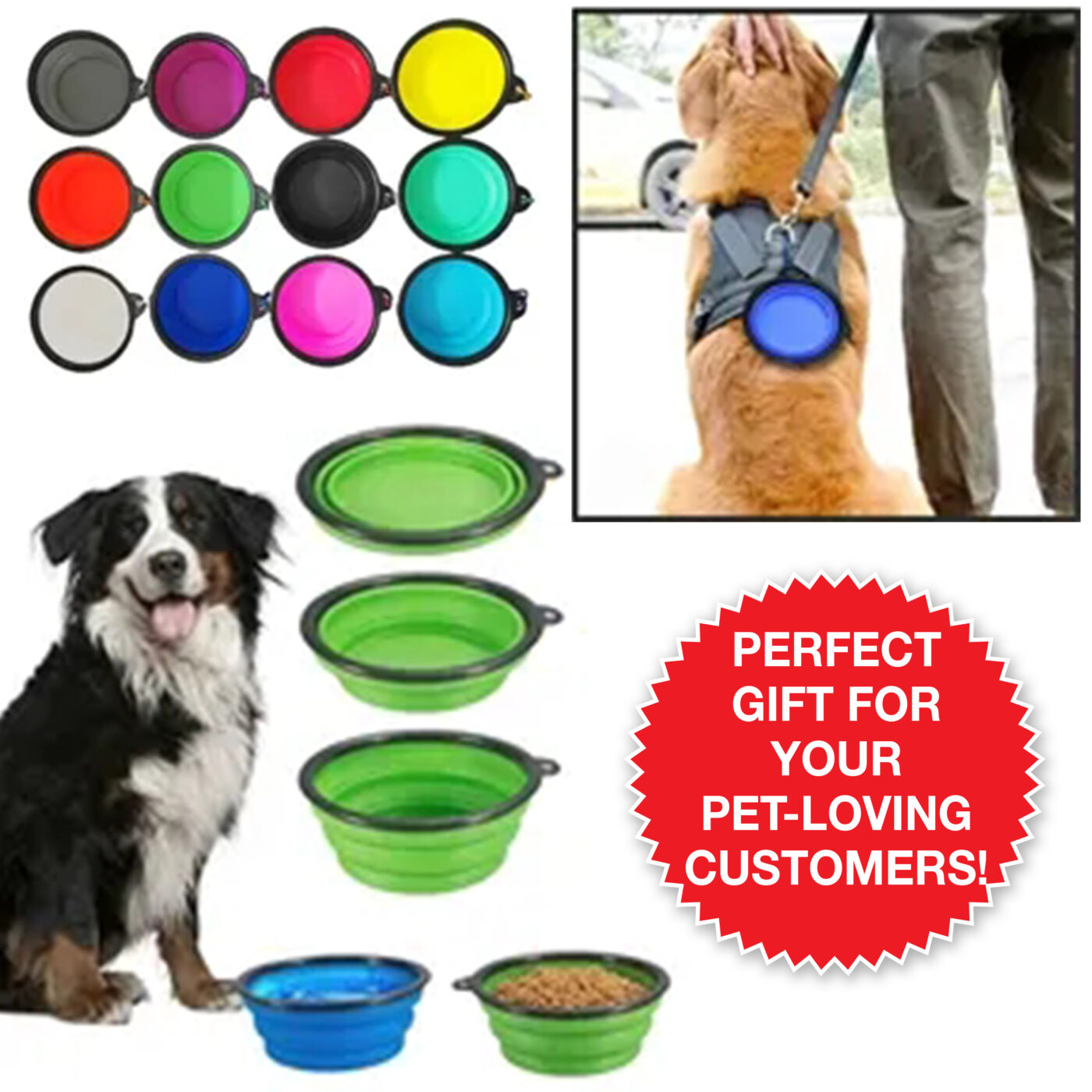 Collapsible Pet Bowls - Image 2